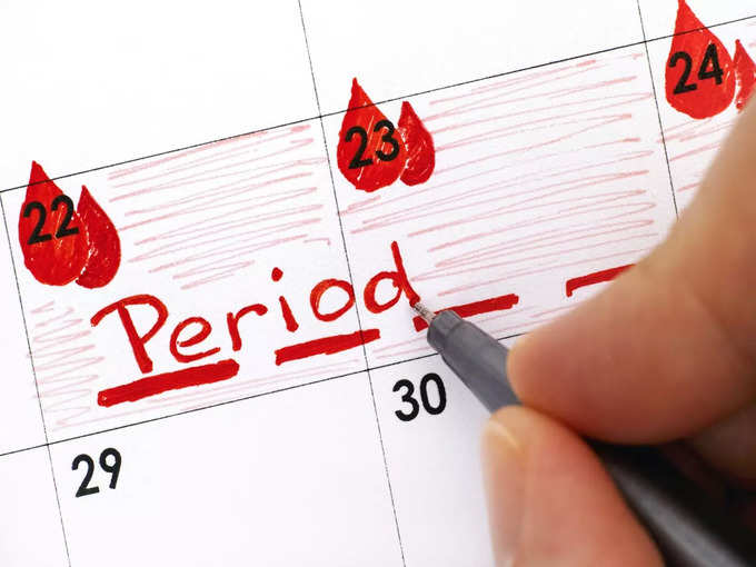 3.  Periods regulate the cycle