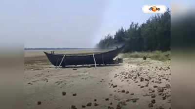 Baguran Jalpai Beach: সৈকত জুড়ে শুধুই লাল কাঁকড়া! নির্জন বিচ বগুরান জলপাই পেল বড় স্বীকৃতি