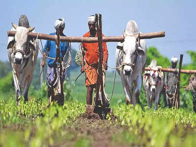 મહારાષ્ટ્રના ખેડૂતો હવે ફક્ત ₹1માં  મેળવી શકશે પાક વીમો, વર્ષે સરકાર તરફથી મળશે ₹12 હજારની સહાય