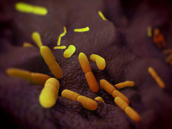 Bacterial infection is the cause of the problem Bacterial infection is the cause of the problem
