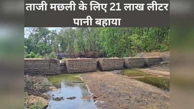 Jashpur News: ताजी मछली खाने की हुई तलब तो बहा दिया जशपुर डैम का 21 लाख लीटर पानी, प्यास बुझाने को बिलबिला रहे जंगली जानवर