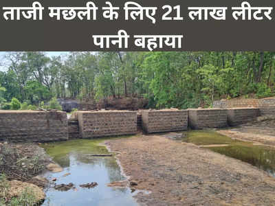 Jashpur News: ताजी मछली खाने की हुई तलब तो बहा दिया जशपुर डैम का 21 लाख लीटर पानी, प्यास बुझाने को बिलबिला रहे जंगली जानवर