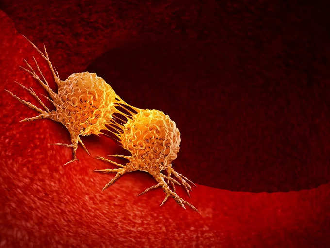 4. Effective in preventing cancer 4. Effective in preventing cancer