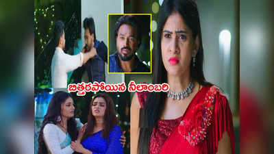 Ennenno Janmala Bandham మే 31: అభి తుక్కు రేగొట్టిన యష్‌.. నీలాంబరికి క్లాసు పీకిన వేదా! సీన్‌ అదుర్స్‌