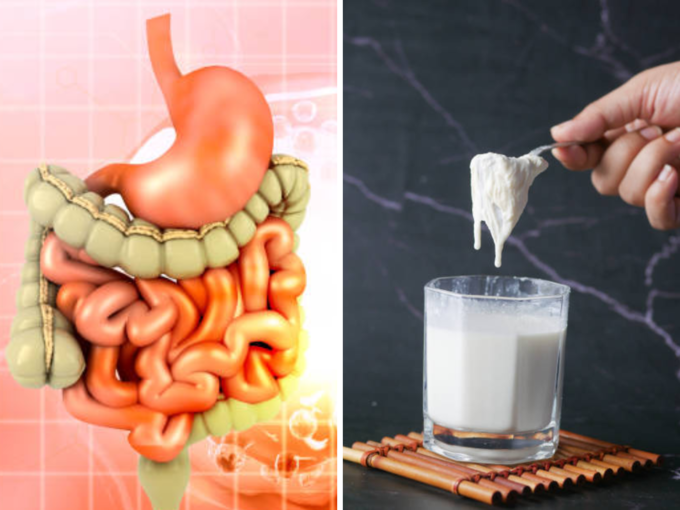 World Milk Day: This milk is more intoxicating than alcohol, drinking two sips will make you drunk | Hits Times Milk is difficult to digest