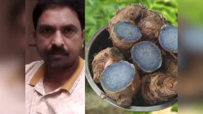 Gaya News: आशीष कुमार करते हैं काली हल्दी की खेती, डेढ़ कट्ठा खेत में उपजाते हैं 1 क्विंटल पैदावार