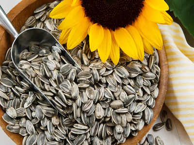 Sunflower Seeds Benefits : தாய்க்கும் கருவுக்கும் எலும்பு ஆரோக்கியத்தை உறுதி செய்யும் சூரியகாந்தி விதைகள் எப்படி சாப்பிடலாம்?