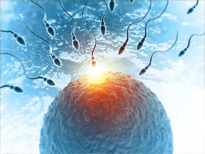 5. Effective in increasing fertility 5. Effective in increasing fertility
