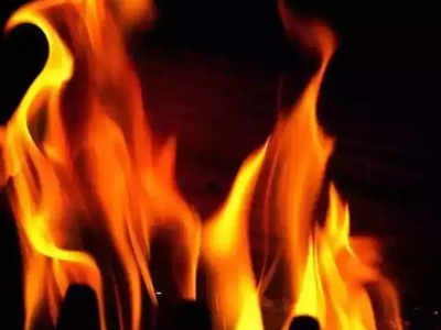 Sitamarhi News: बदमाशों ने देर रात ढाबे में लगाई आग, 5 साल बच्ची समेत दो लोग जिंदा जले