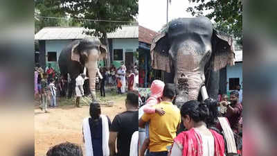 അരിക്കൊമ്പനെസ്കൂളിൽ എത്തിക്കും, വാക്കുനൽകി അധ്യാപകർ; പ്രവേശനോത്സവ ദിനം കുട്ടികൾ ഞെട്ടി