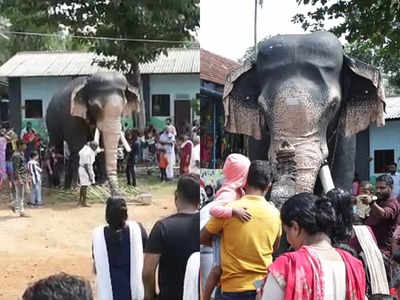 അരിക്കൊമ്പനെസ്കൂളിൽ എത്തിക്കും, വാക്കുനൽകി അധ്യാപകർ; പ്രവേശനോത്സവ ദിനം കുട്ടികൾ ഞെട്ടി