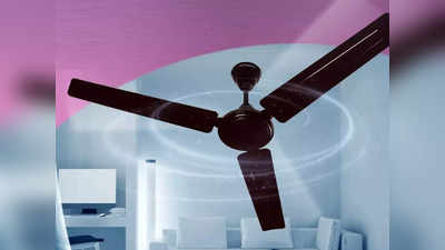 इन Ceiling Fan में दमदार मोटर के साथ मिलेगी जबरदस्‍त हवा, टपकता पसीना भी जाएगा सूख