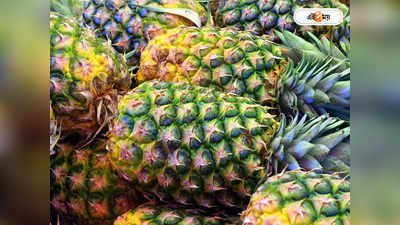 Tripura Queen Pineapple : খুশির হওয়া ত্রিপুরায়! রানি আনারসের GI ব্যবহার করার অনুমতি ৩০০ কৃষককে