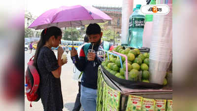 Kolkata Weather : পারদ ৪০ ছুঁইছুঁই, পুড়ছে কলকাতা! বৃষ্টি নিয়ে বড় আপডেট হাওয়া অফিসের