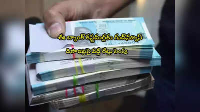 Bank FDs: ఈ బ్యాంకులో డబ్బులుంటే చాలు.. అధిక వడ్డీ.. ఏడాదికే హైరిటర్న్స్!