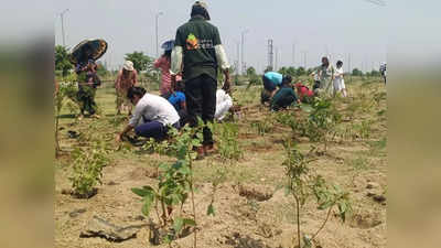 World Environment Day: बंजर भूमि पर लहलहा रही हरियाली, यूपी की जमीन को किया हरित पट्टियों से लबरेज