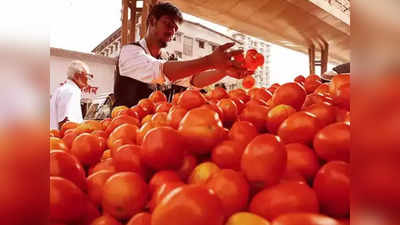 Kolkata Market Price: টমেটো 60, ঝিঙে 80! বাজার দরে হাতে ছ্যাঁকা মধ্যবিত্তের