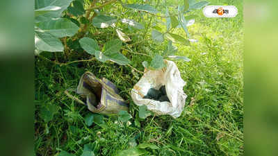 Bomb Recovery : ফের উদ্ধার ১৬ টি তাজা বোমা! আতঙ্ক সামশেরগঞ্জে