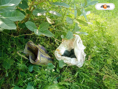 Bomb Recovery : ফের উদ্ধার ১৬ টি তাজা বোমা! আতঙ্ক সামশেরগঞ্জে