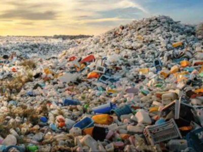 सिंगल यूझ प्लास्टिक ठरतेय धोकादायक; समुद्रासह जलाशयांमधील प्रदूषणातही मोठी वाढ, तुम्ही करु शकता हे उपाय...