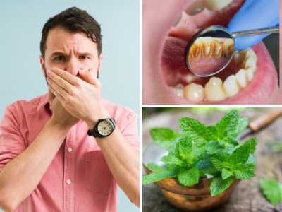Home Remedies For Bad Breath: अब खुलकर दिखाओ बत्तीसी, मुंह की बदबू को तुरंत खत्म करेंगे Dr. के 6 देसी उपाय