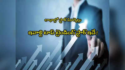 Stock Market: ఈ కంపెనీ స్టాక్ కొనేందుకు ఎగబడుతున్న జనం.. రికార్డు స్థాయికి షేరు ధర!