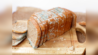 Health Alert: क्‍या होगा अगर गलती से खा ली फंगस लगी ब्रेड? पेट के डॉक्‍टर ने क्‍या बताया समझिए