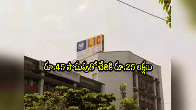 LIC Jeevan Anand: ఎల్ఐసీ అద్భుత పాలసీ.. రూ.45 పొదుపుతో చేతికి రూ.25 లక్షలు..!