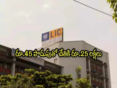 LIC Jeevan Anand: ఎల్ఐసీ అద్భుత పాలసీ.. రూ.45 పొదుపుతో చేతికి రూ.25 లక్షలు..!