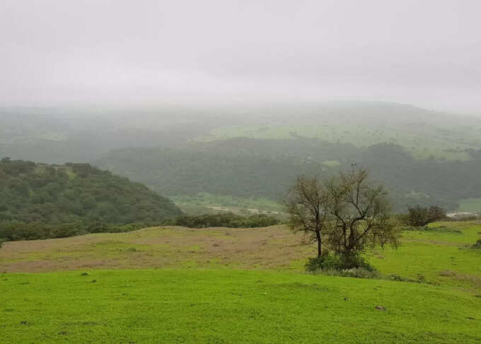 salalah3