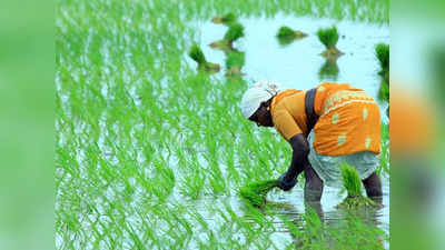 விவசாயிகளுக்கு 50,000 ரூபாய் கிடைக்கும்.. இதைச் செய்தால் போதும்!