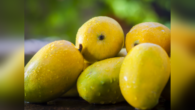 कापलेले आंबे का पडतात काही वेळातच काळे? करा हा उपाय, 48 तास काय त्याहून अधिक वेळ Mangoes राहतील कडक व फ्रेश