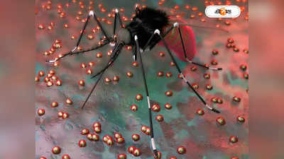 Awareness Mosquito : মশা তাড়াতে ধূপের চেয়েও উপকারী স্নান, বলছে পুরসভা