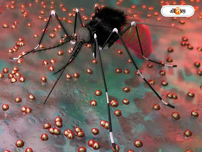 Awareness Mosquito : মশা তাড়াতে ধূপের চেয়েও উপকারী স্নান, বলছে পুরসভা