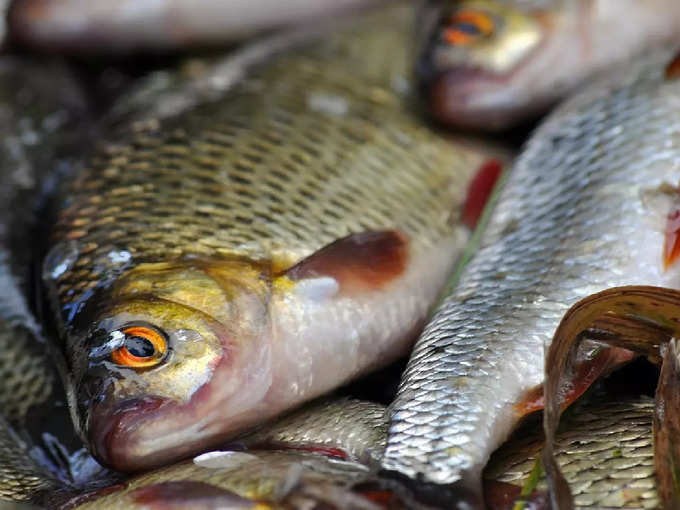Fish Market Price