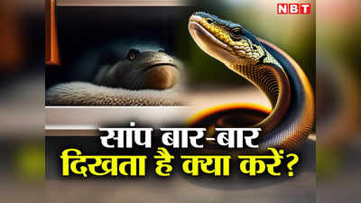 Snake News: पौधा लगाएं या फिनाइल छिड़कें... नोएडा में घर के पास निकल रहे सांप, बचने का तरीका जान लीजिए