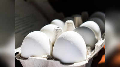 Egg Price: ট্রে প্রতি সস্তা হল ডিম, কলকাতায় জোড়া কিনতে খরচ কত? নতুন দাম জেনে নিন