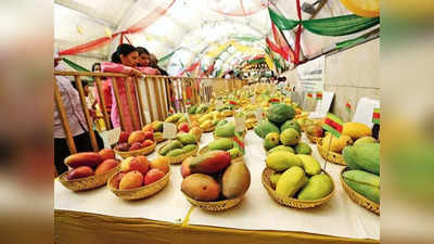 Mango Festival In Bhopal: नूरजहां से लेकर सुंदरजा तक... भोपाल में मैंगो फेस्टिवल में मिलेगा पसंदीदा आमों का स्वाद