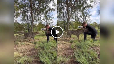 Cheetah Ka Video : जंगल में फोटोग्राफी कर रहा था शख्स, तभी सामने से आया चीता और फिर कमाल ही हो गया!