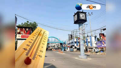 Dinajpur Weather: গরমে পুড়ছে দুই দিনাজপুর, কবে মিলবে স্বস্তির বৃষ্টি?