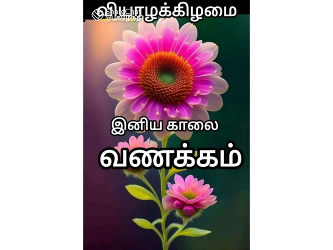 இனிய காலை வணக்கம் 