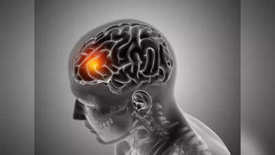 World Brain Tumor Day: 60 सेकंड का रैपिड टेस्ट बताएगा ब्रेन ट्यूमर है या नहीं, स्टडी से पता चली यह बात