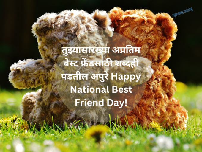 राष्ट्रीय मैत्री दिनाच्या शुभेच्छा