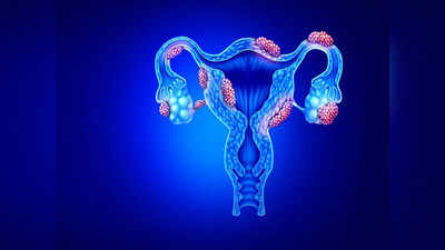 Pregnant with Endometriosis: எண்டோமெட்ரியோசிஸ் இருந்தால் எந்த வயதுக்குள் கருத்தரிக்க வேண்டும்? அபாயங்கள் என்னென்ன?
