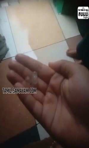samayam/tamilnadu/thanjavur/hail-rain-in-thanjavur-public-rejoices-viral-video