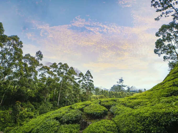 ​​ಕೂರ್ಗ್‌​