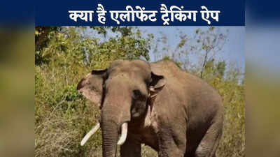 Chhattisgarh News: हाथियों के आने से पहले ग्रामीणों के पास आएगा अलर्ट,  जानें क्या है ऐप की खास बातें