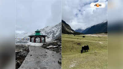 Sikkim Tourism: নাথু লা-ছাঙ্গু-লাচুং যাওয়ায় বাড়তি সতর্কতা, পর্যটকদের সুবিধার্থে নয়া সিদ্ধান্ত সিকিম সরকারের