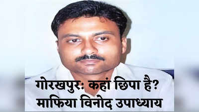 Gorakhpur News: कहां छिपा है माफिया विनोद उपाध्याय? गोरखपुर पुलिस 14 दिन से कर रही छापेमारी पर नहीं मिला सुराग