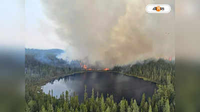 Canada Wildfires : কানাডার দাবালনে জেরবার আমেরিকা! বন্ধ চিড়িয়ানাখানা, বাইরে না যাওয়ার পরামর্শ